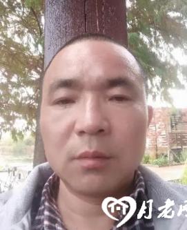 刘春安