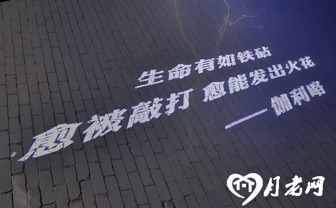 月老网相亲